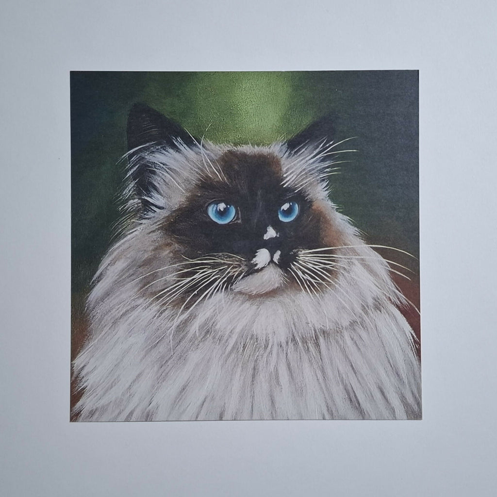 Cat print 'Stewie'