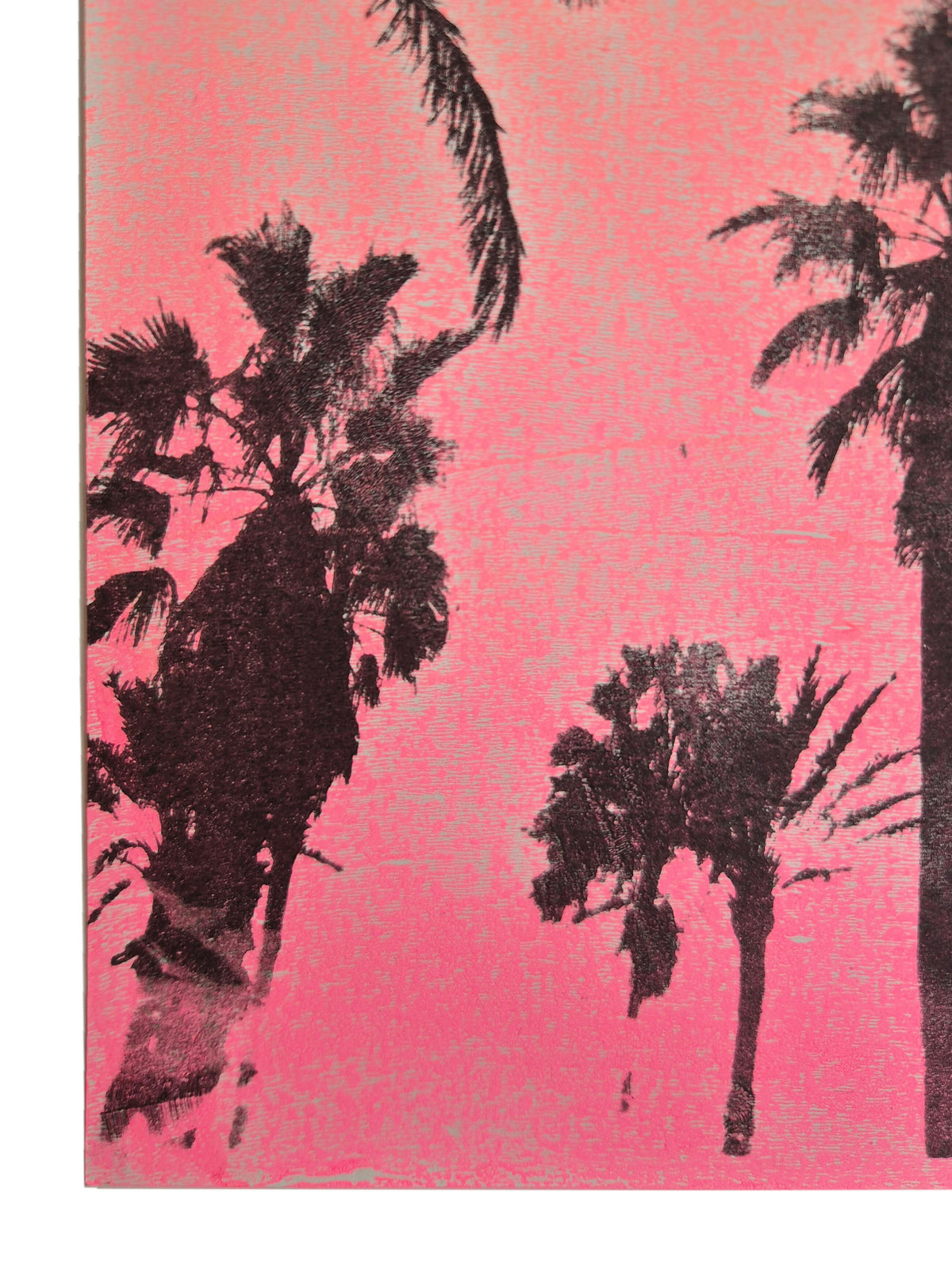 ORIGINELE PALM SCENE MONOPRINT - NEON ROZE GRADIENT