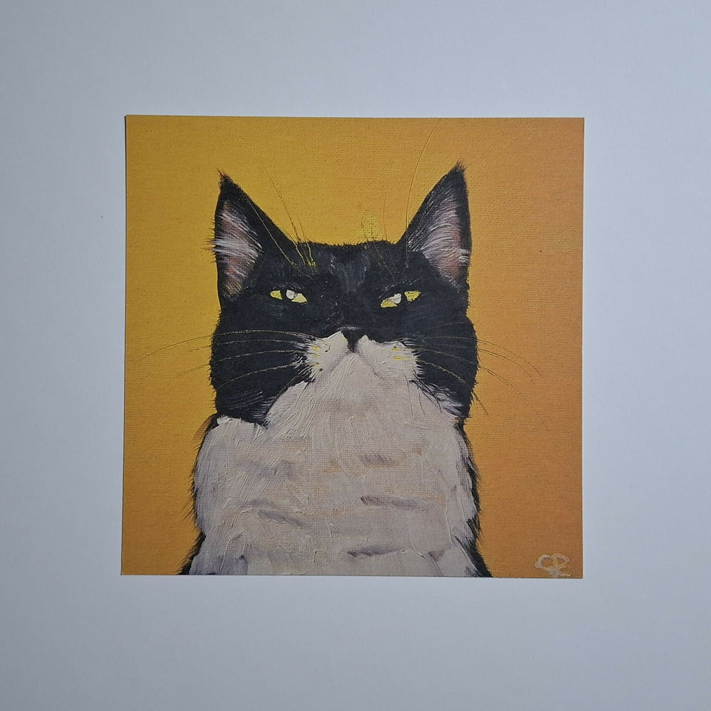 Cat print 'Pablo'