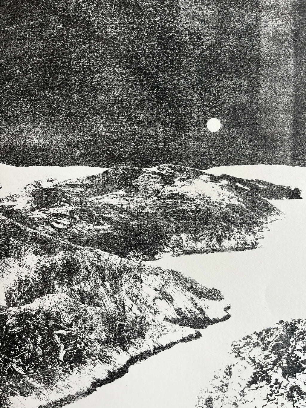 ORIGINELE LANDSCHAPSMONOPRINT