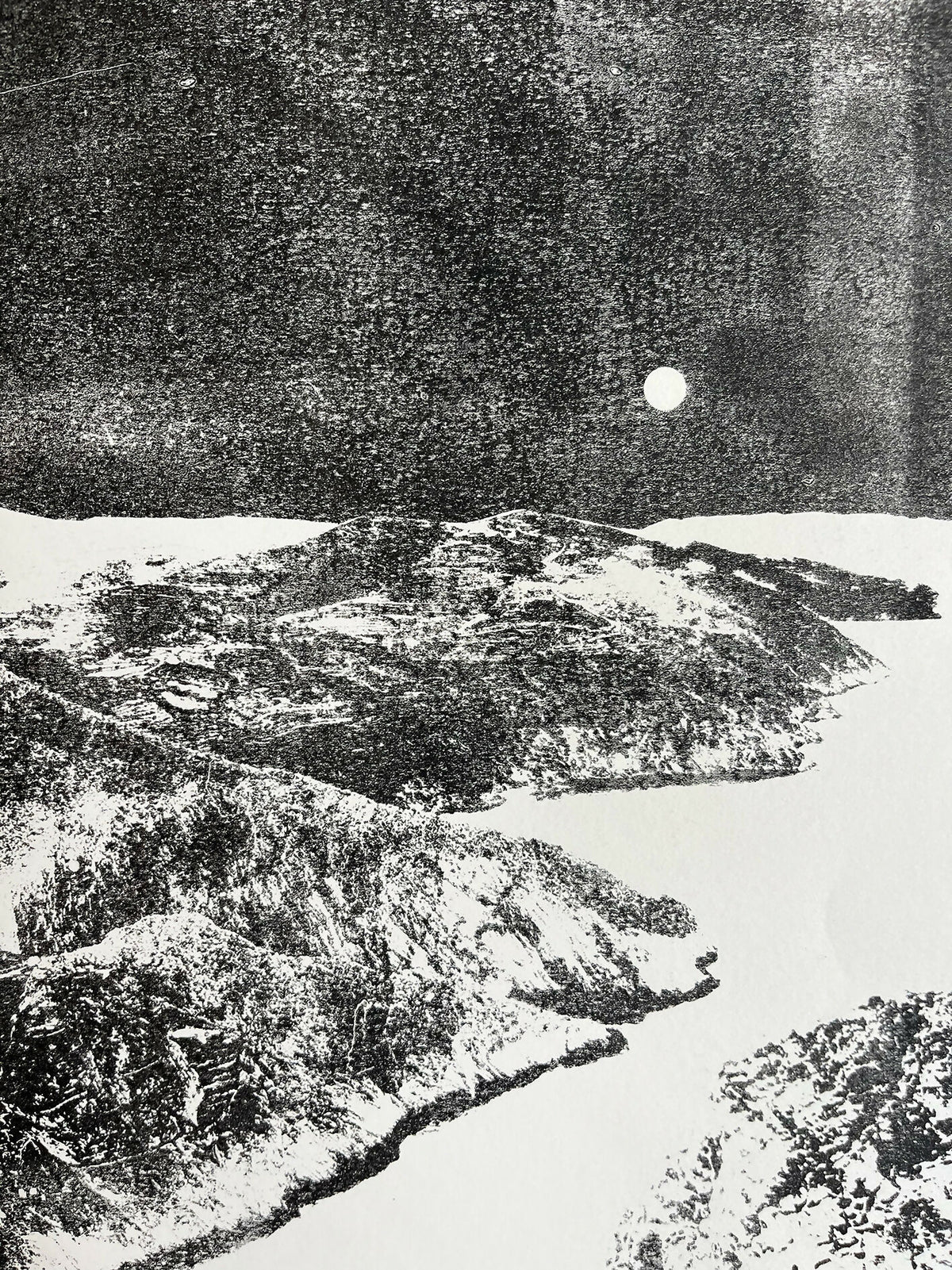 ORIGINELE LANDSCHAPSMONOPRINT