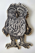Ninny Owlet