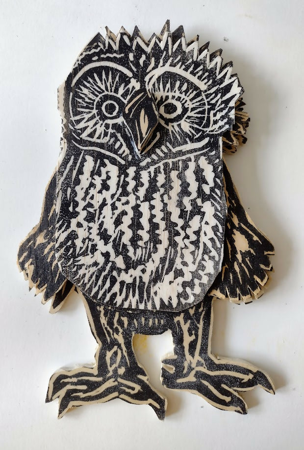 Ninny Owlet