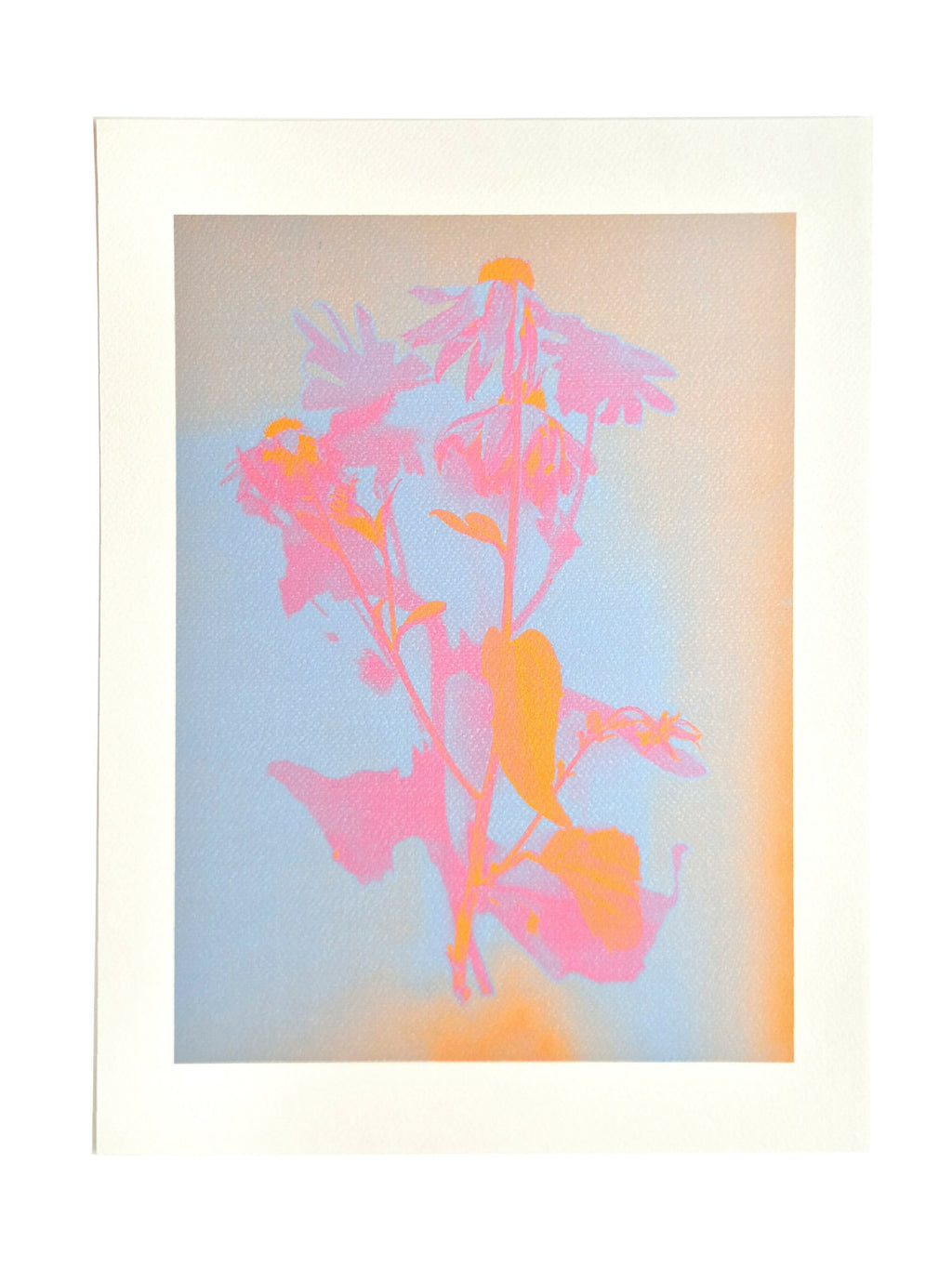 SOLAR FLORAL PASTEL