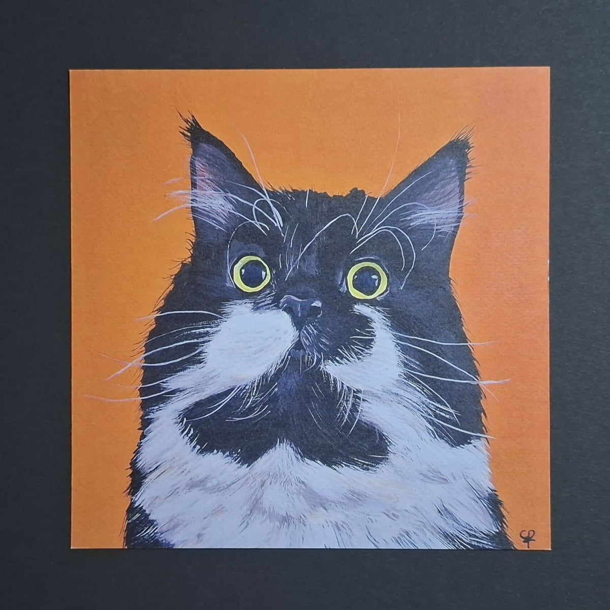 Cat print 'Staarpoes'