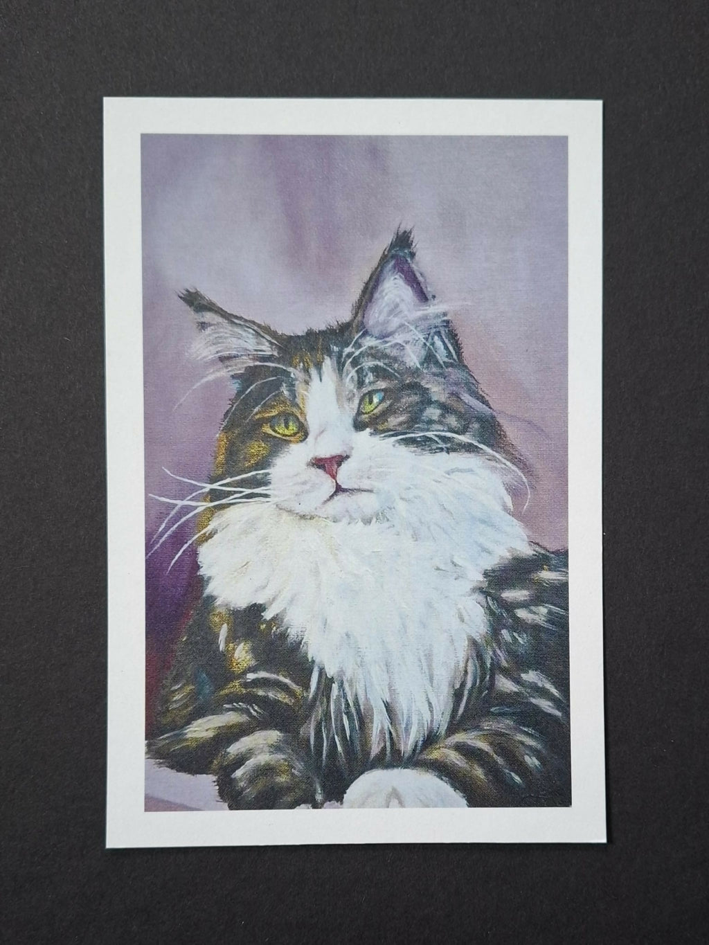 Cat print 'Pluis'