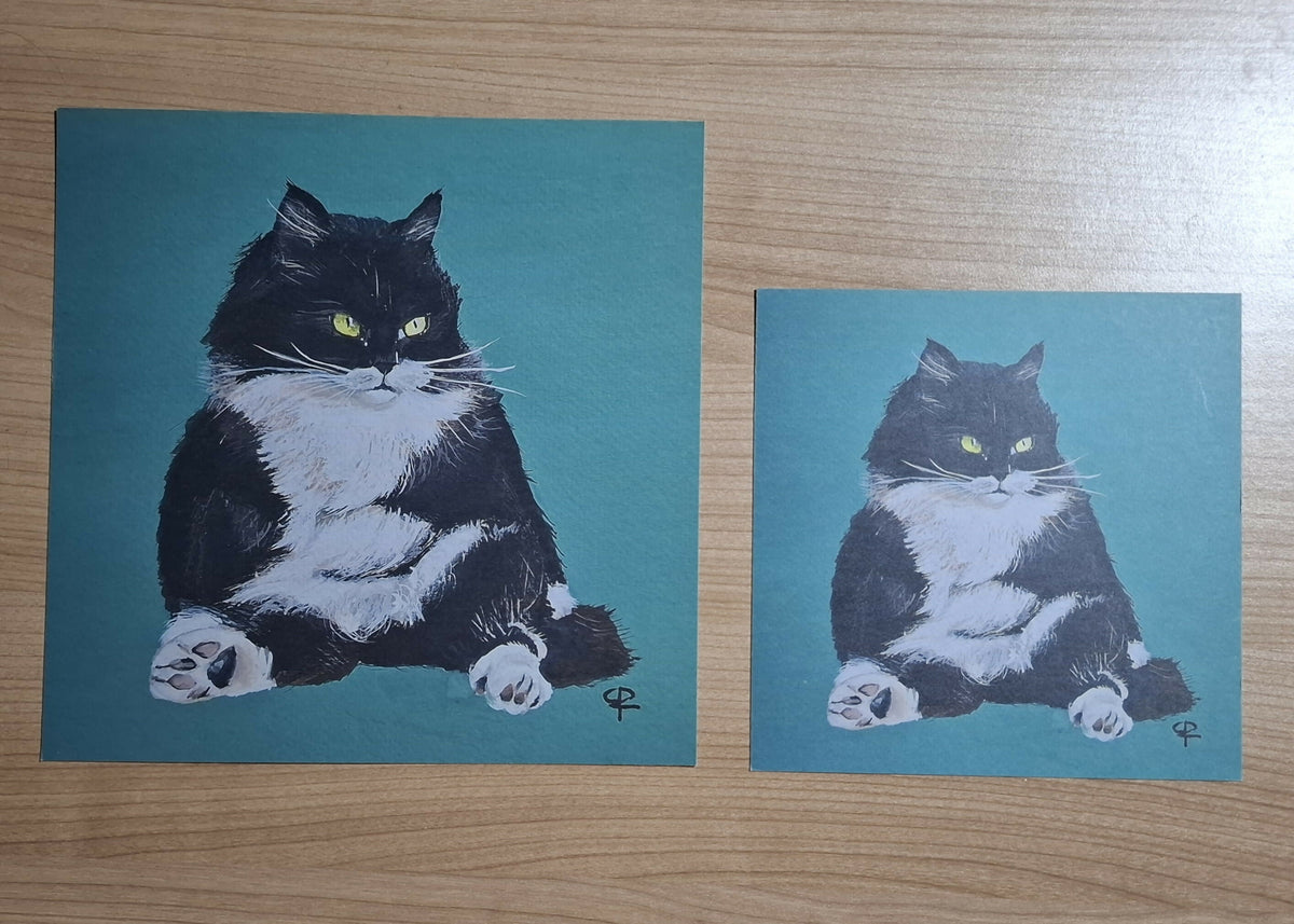 Cat print 'Zitpoes'