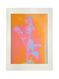 SOLAR FLORAL ORANGE