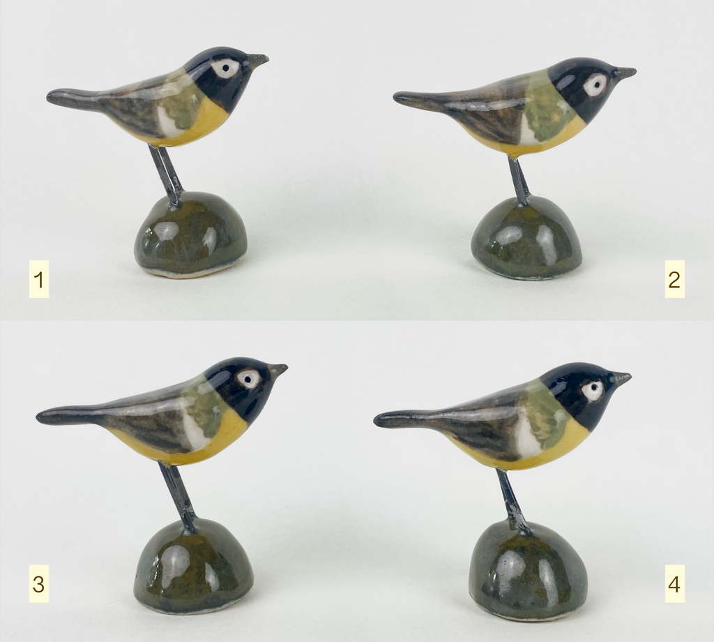 Little bird friend - great tit