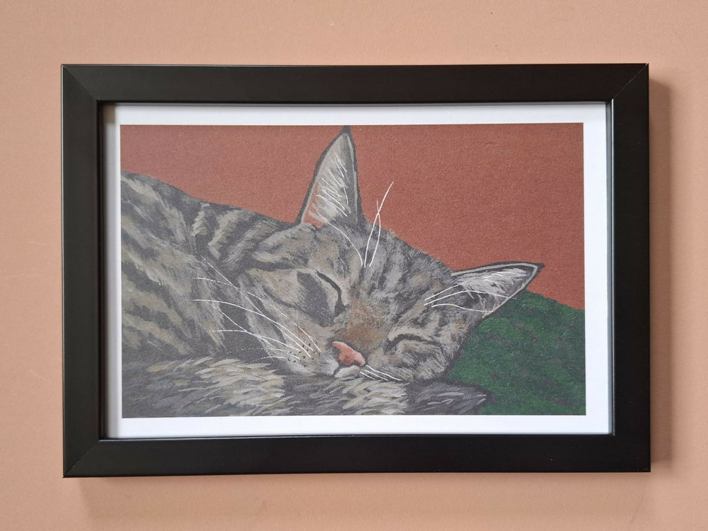Cat print "Idli"