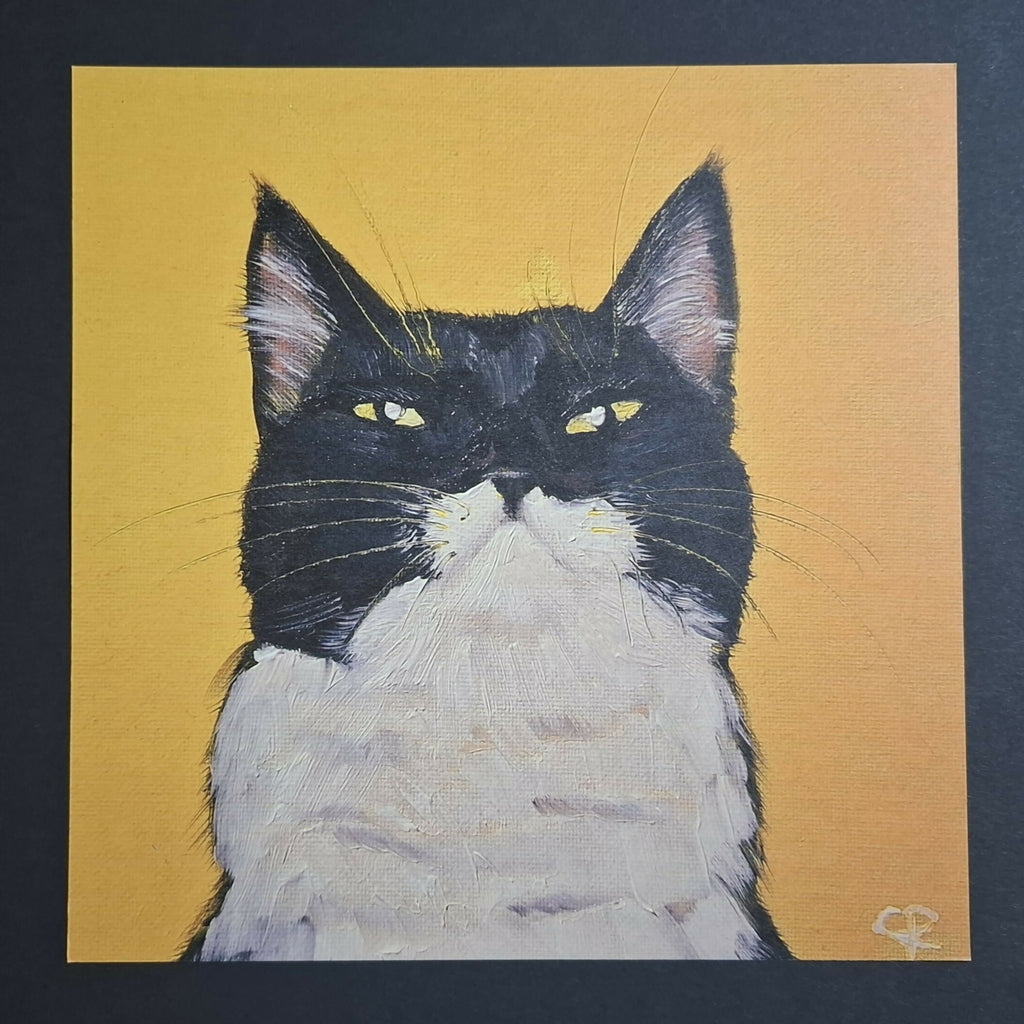 Cat print 'Pablo'