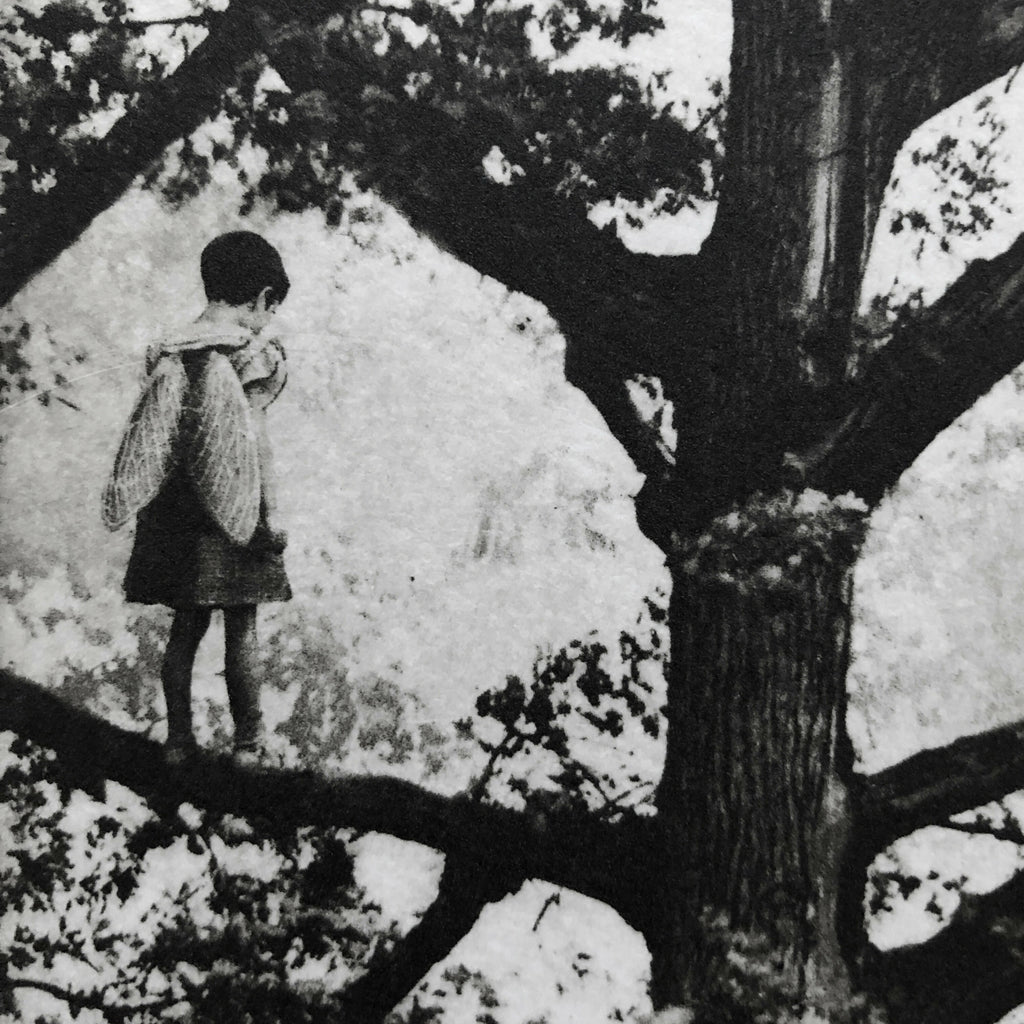 Exterior No.20: Whizzing through The Woods