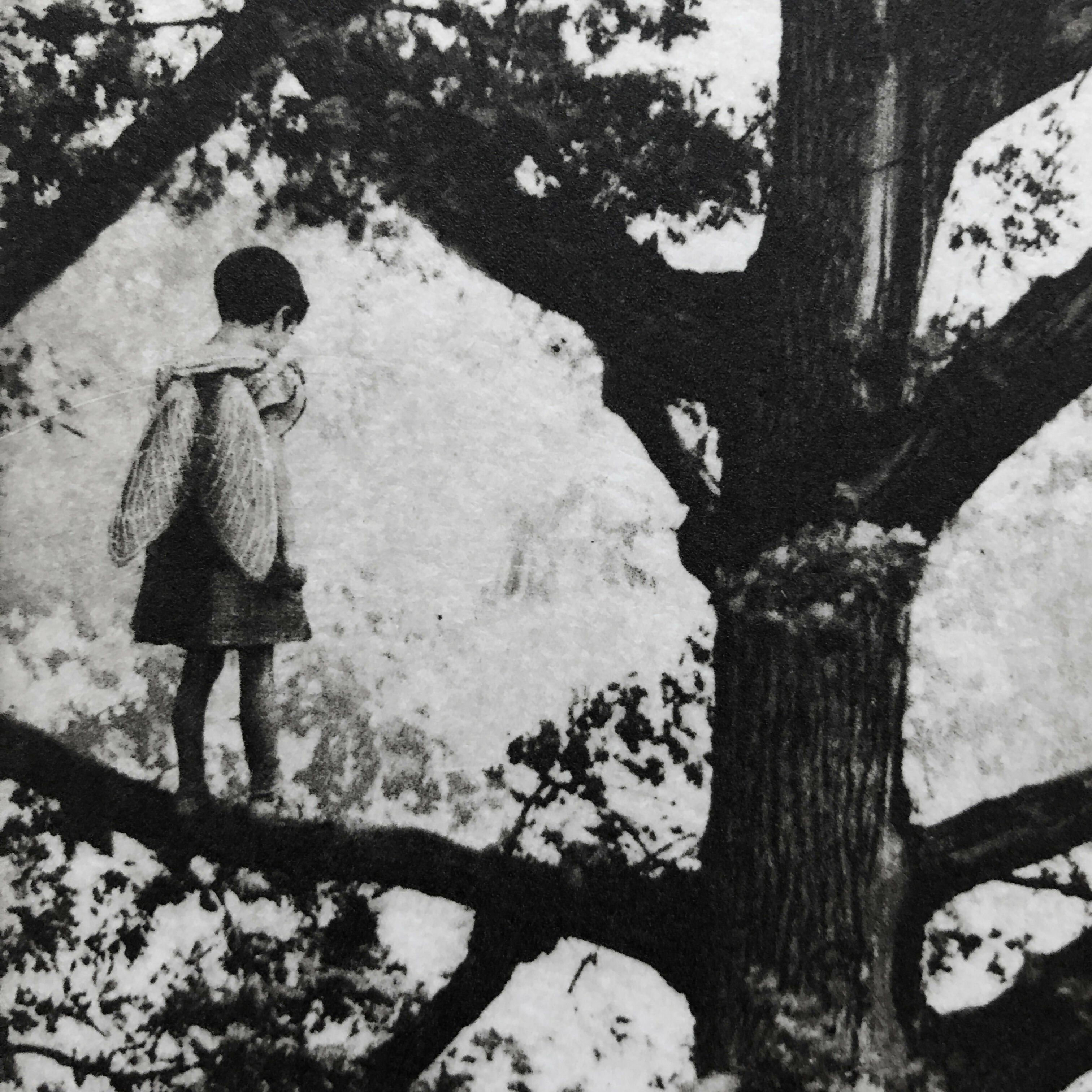 Exterior No.20: Whizzing through The Woods