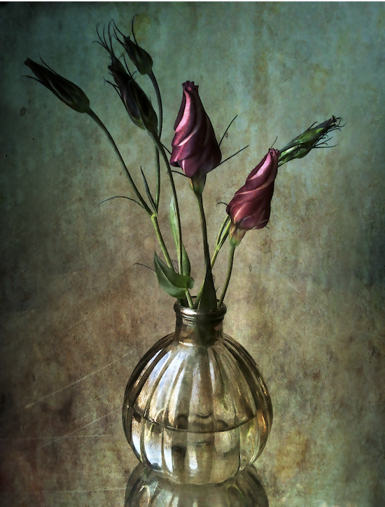 Lisianthus