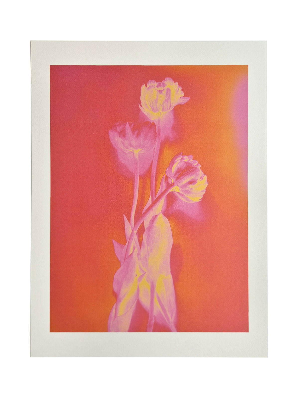 SOLAR FLORAL TULIP
