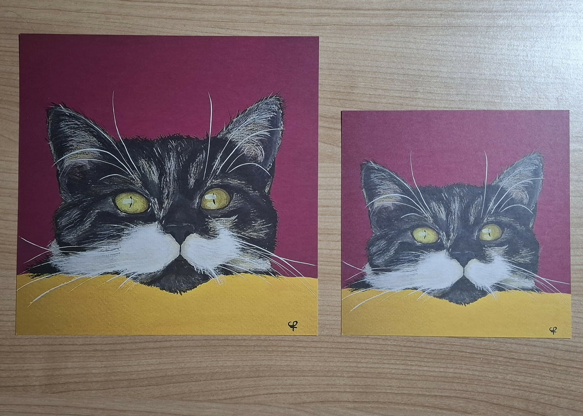 Cat print 'Gluurpoes'