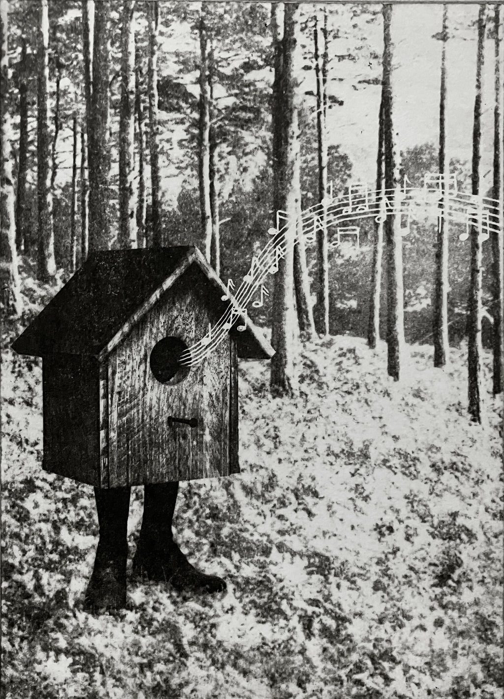 The Call of The Wild II