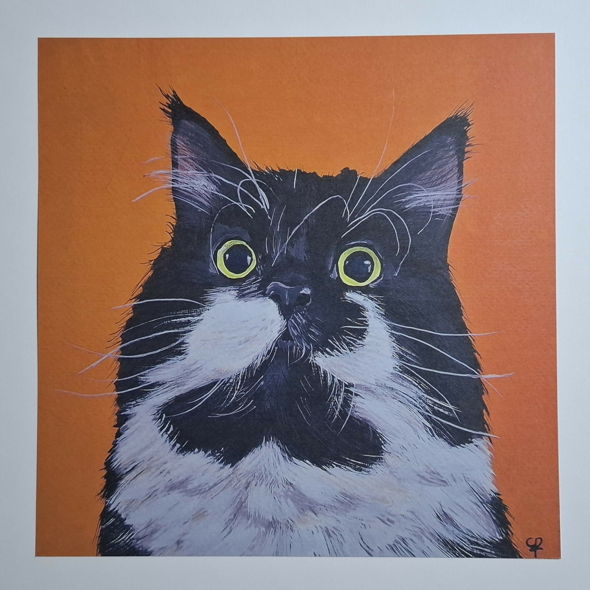 Cat print 'Staarpoes'