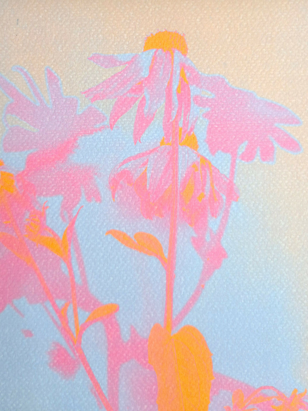 SOLAR FLORAL PASTEL