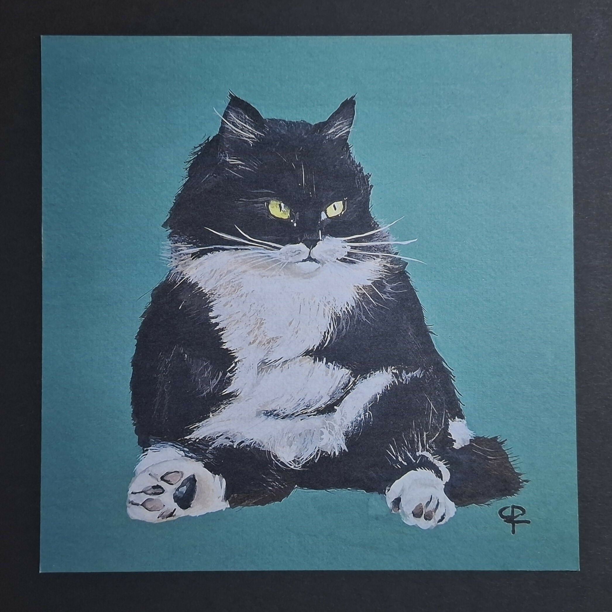 Cat print 'Zitpoes'