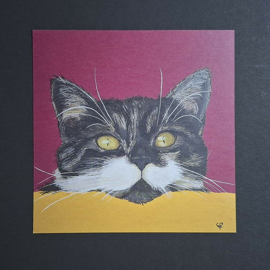Cat print 'Gluurpoes'