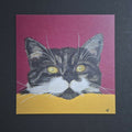 Cat print 'Gluurpoes'