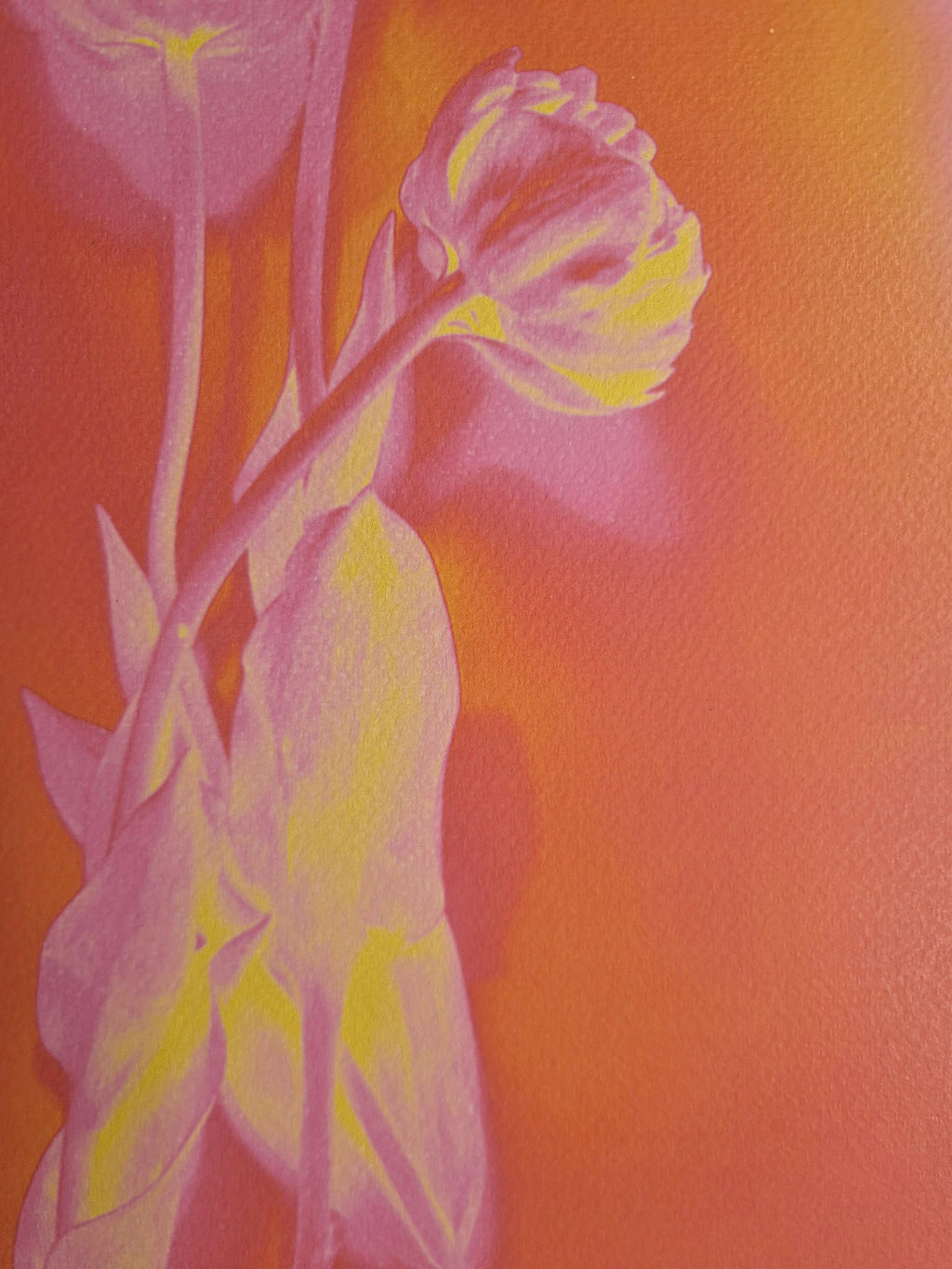 SOLAR FLORAL TULIP