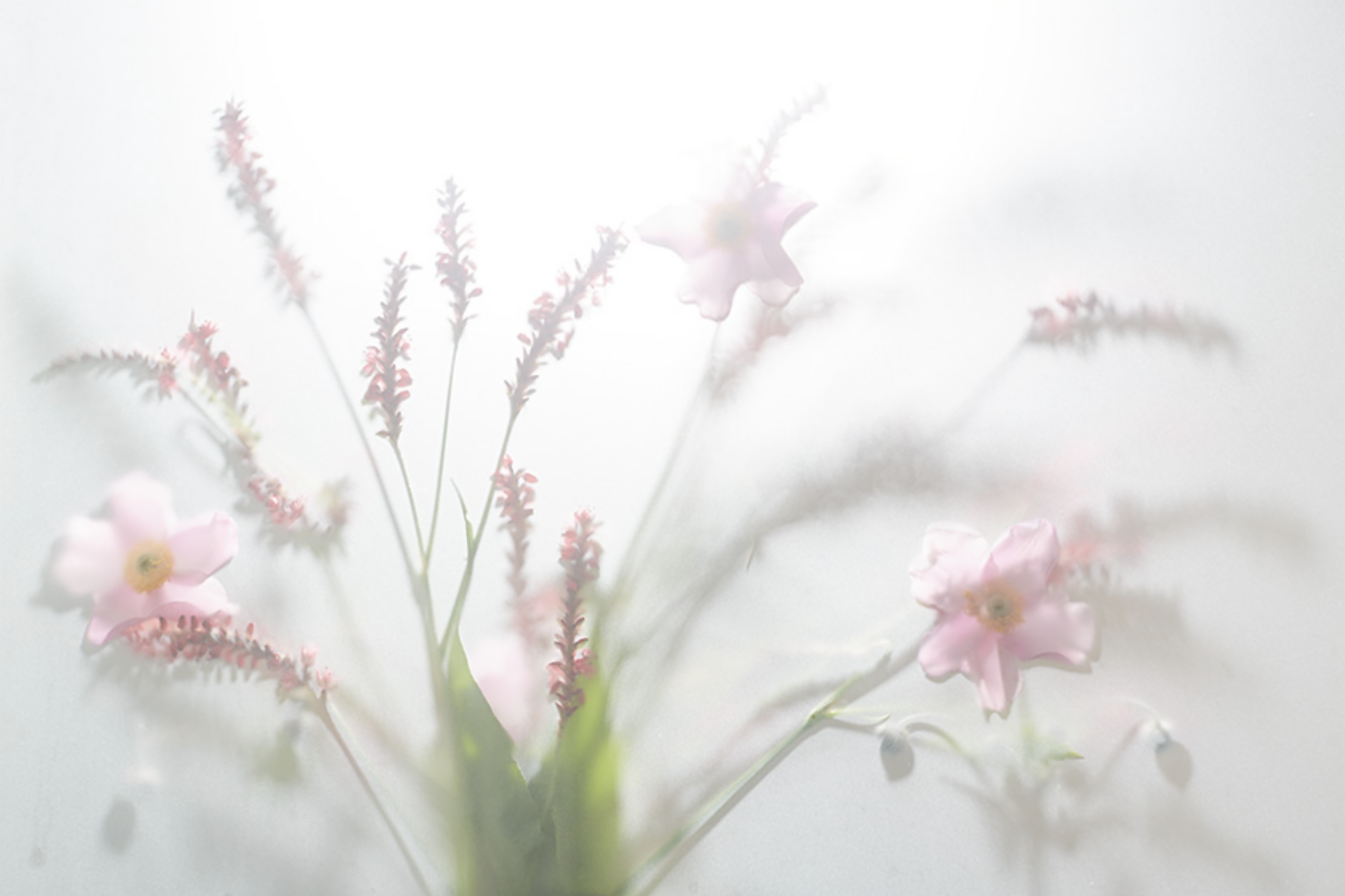 Hazy Flow