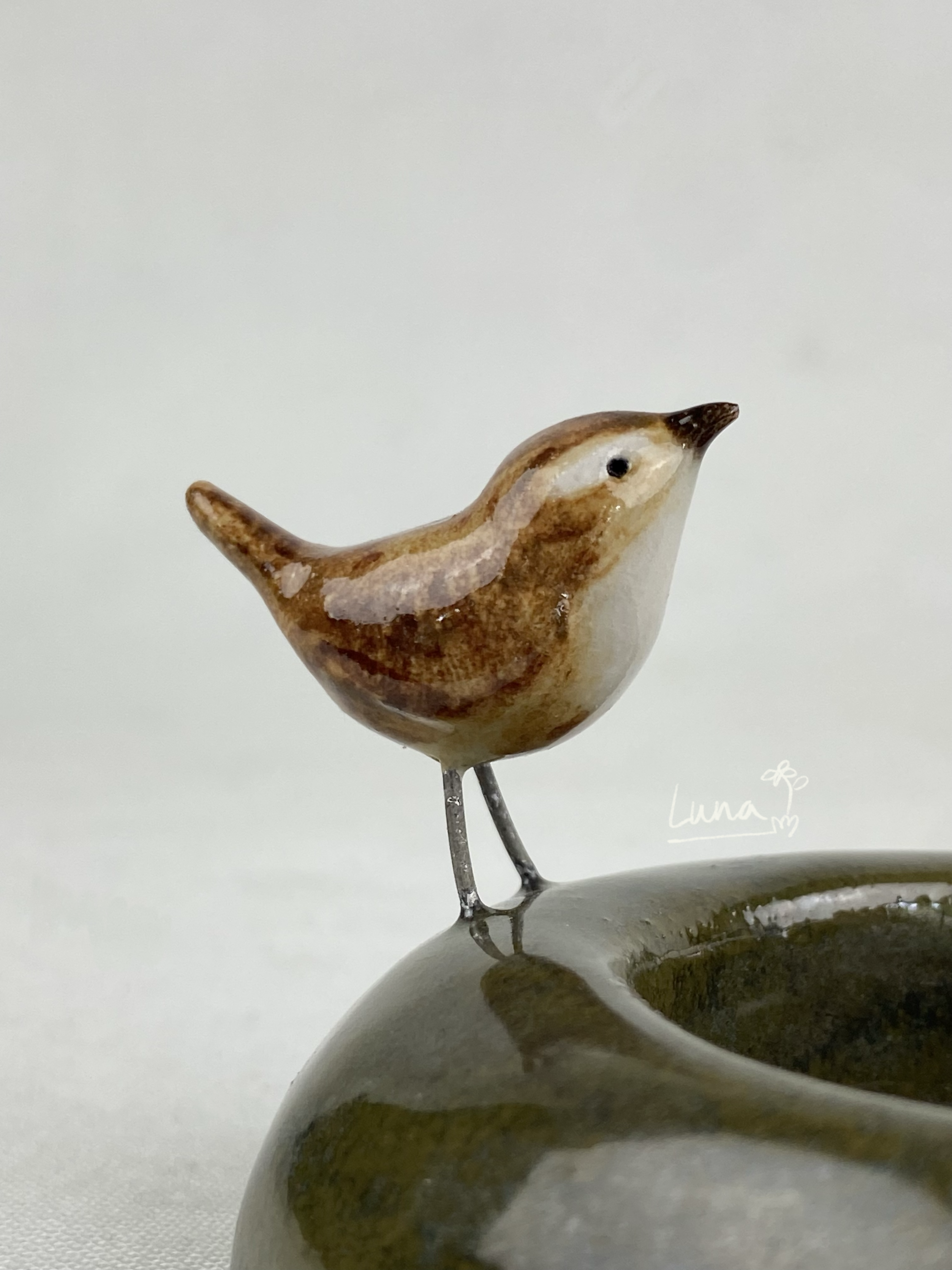 Wies het winterkoninkje