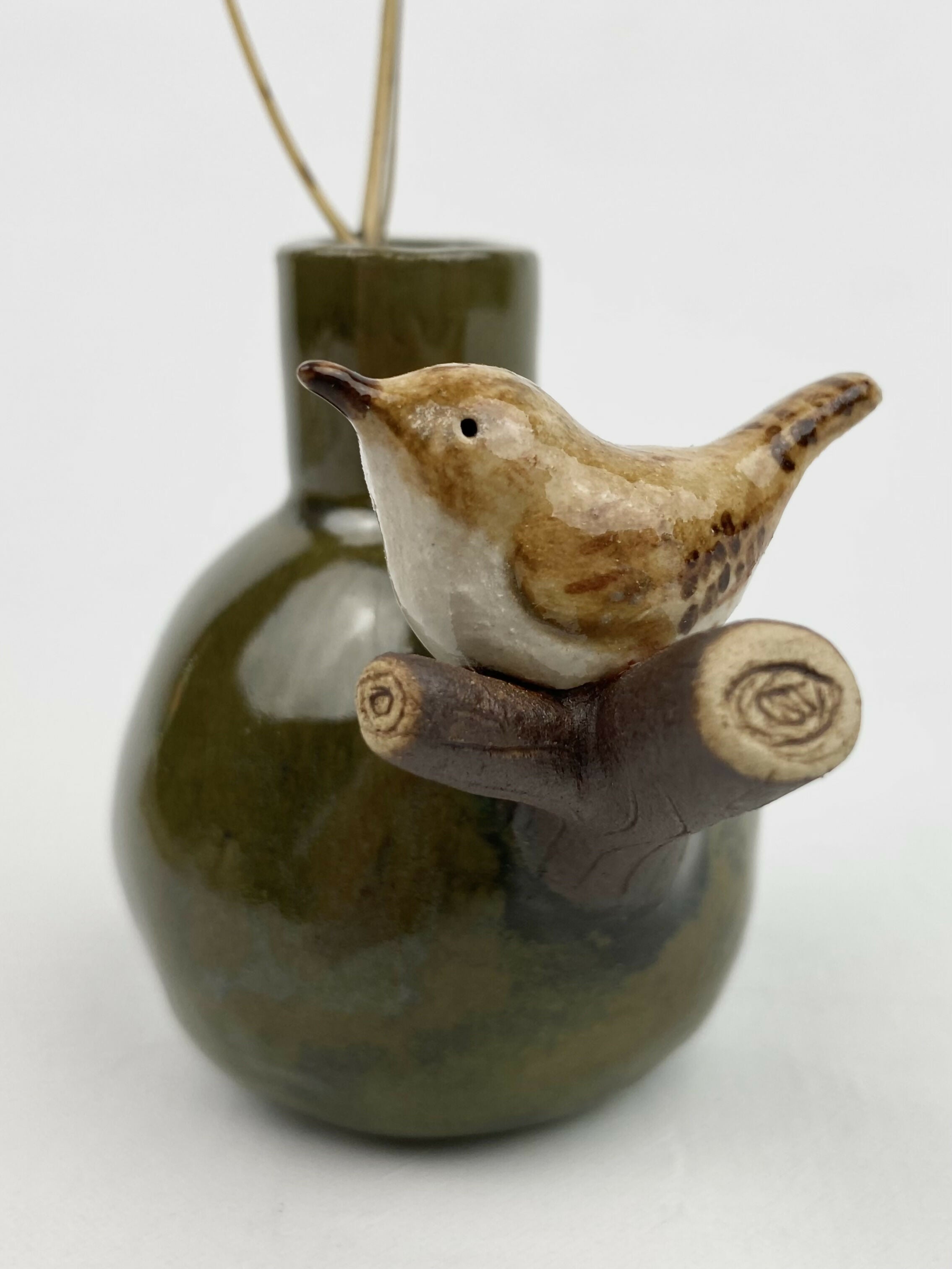 Siep the wren