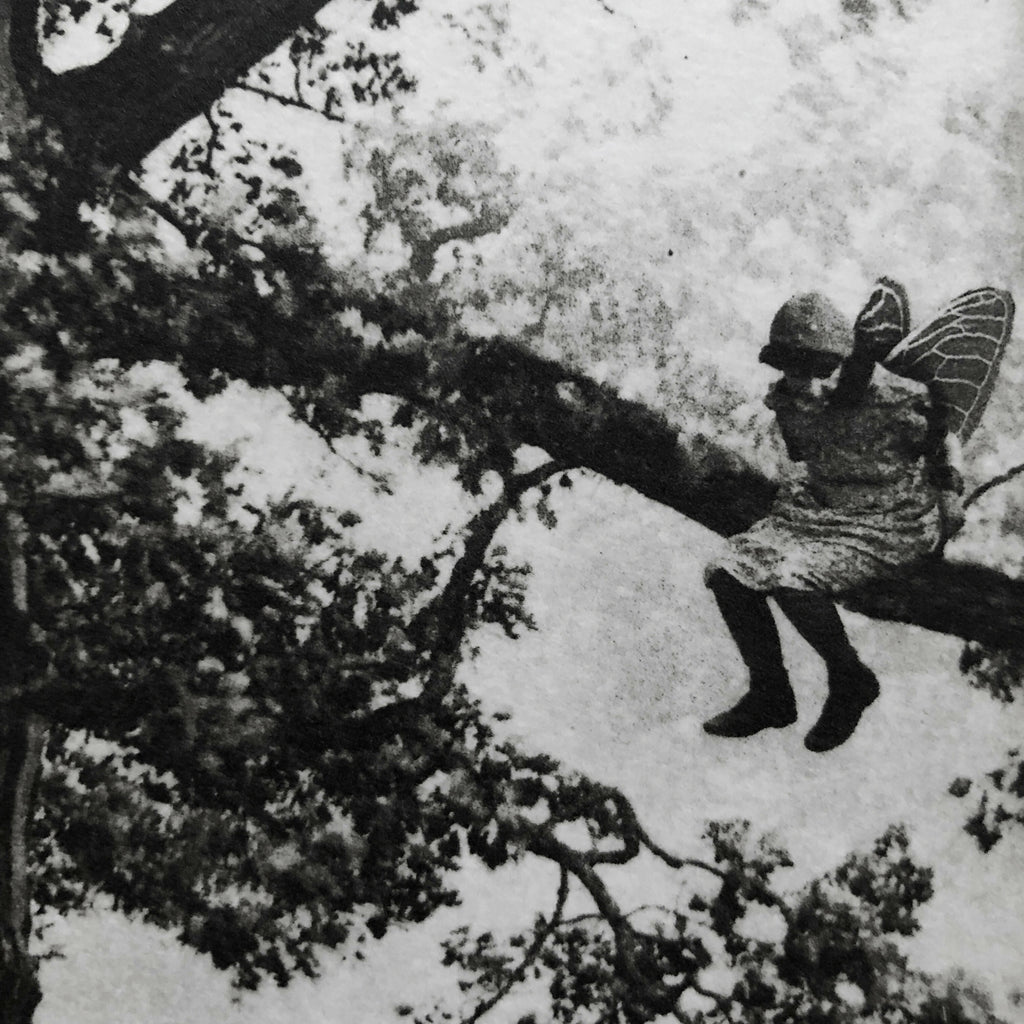Exterior No.20: Whizzing through The Woods