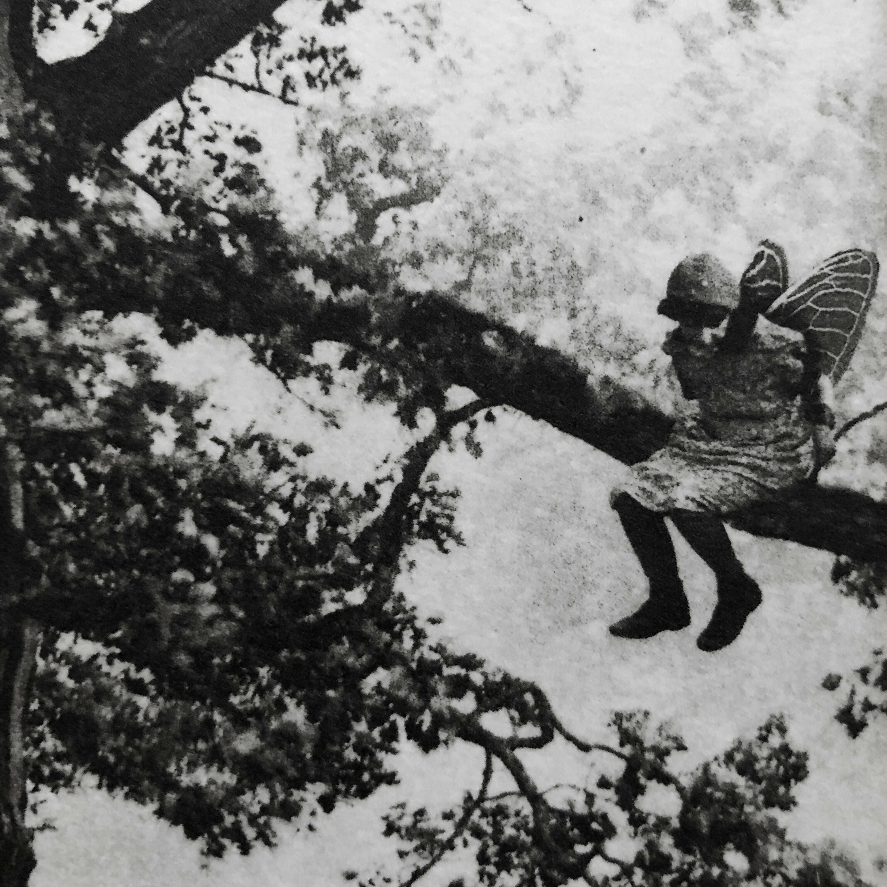 Exterior No.20: Whizzing through The Woods