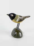 Little bird friend - great tit