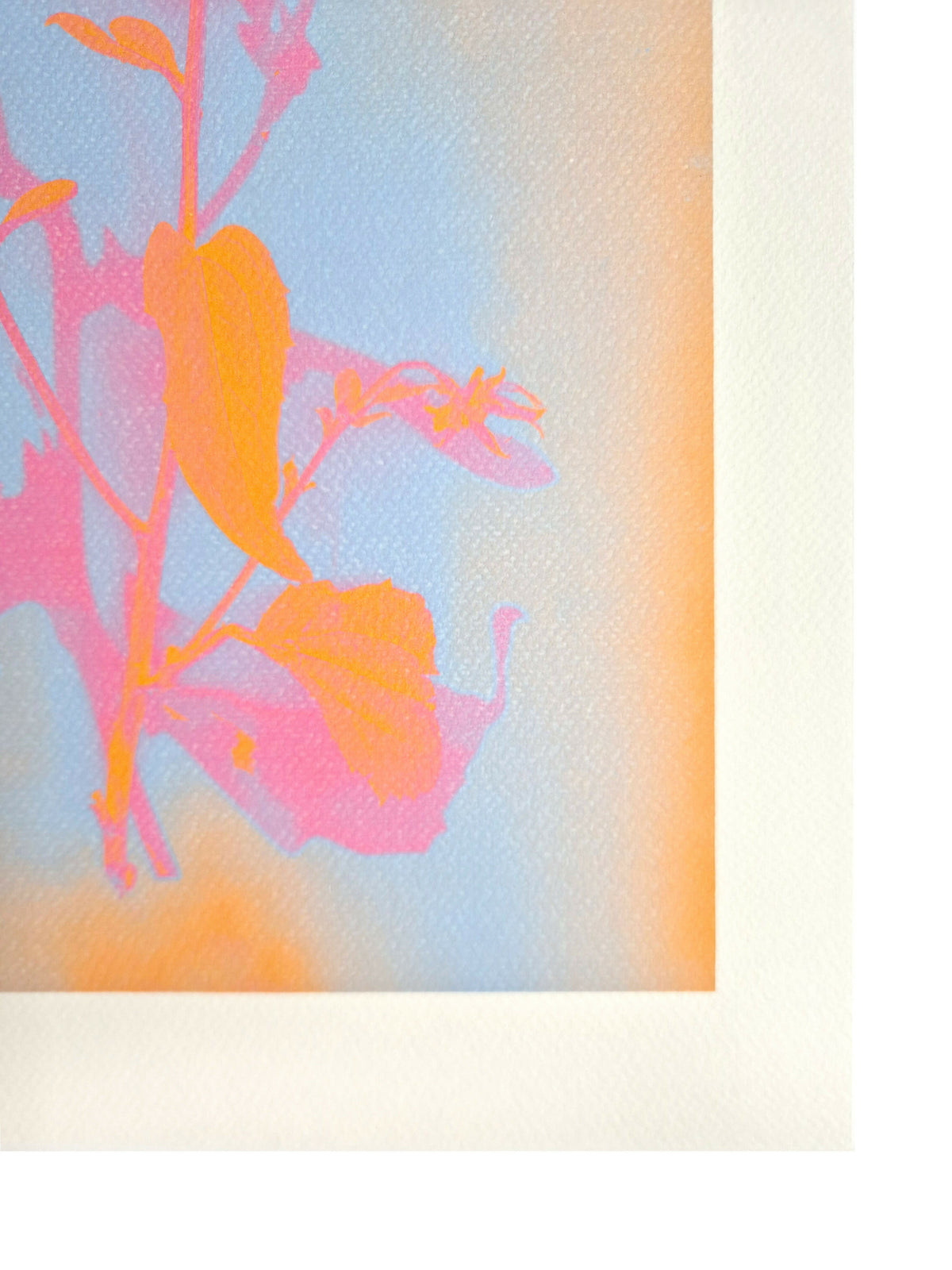SOLAR FLORAL PASTEL