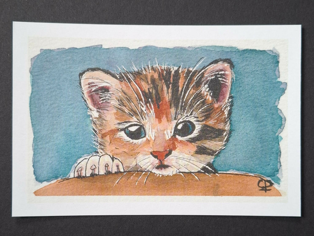 Cat print 'Patches'