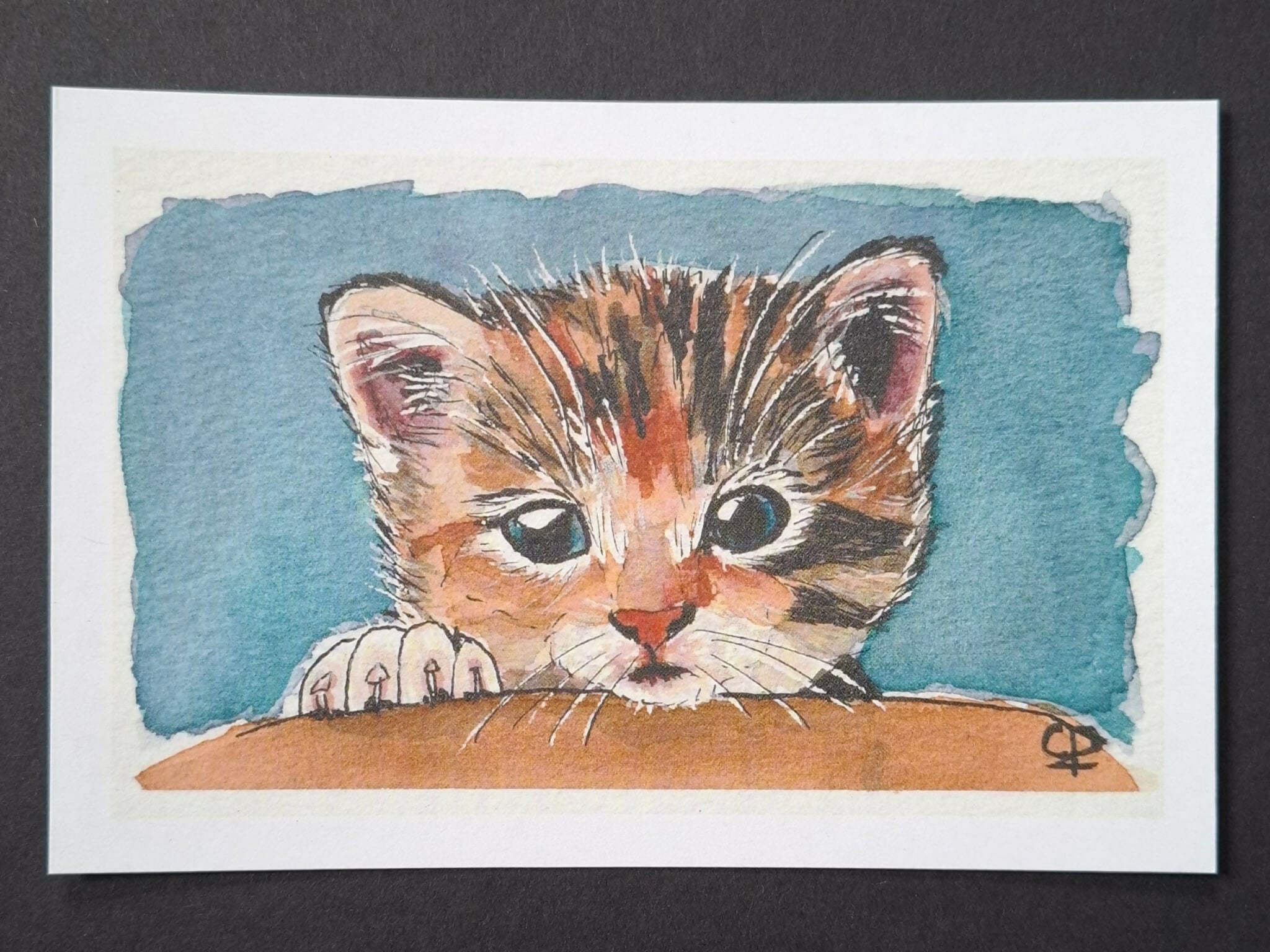 Cat print 'Patches'