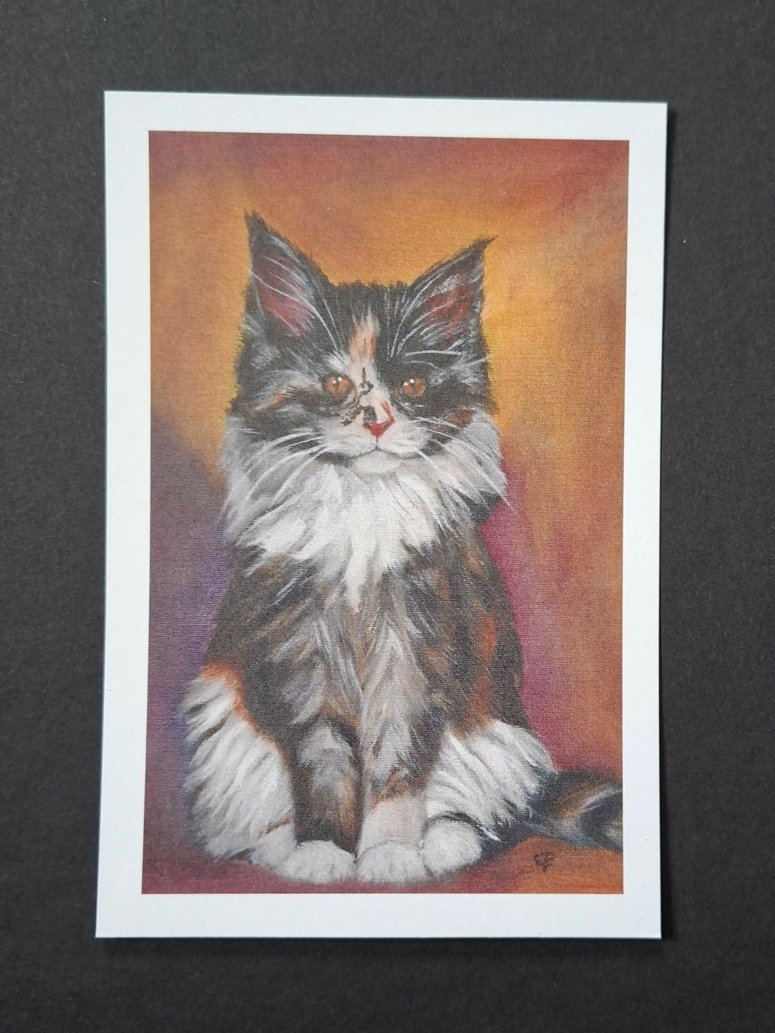 Cat print 'Luna'