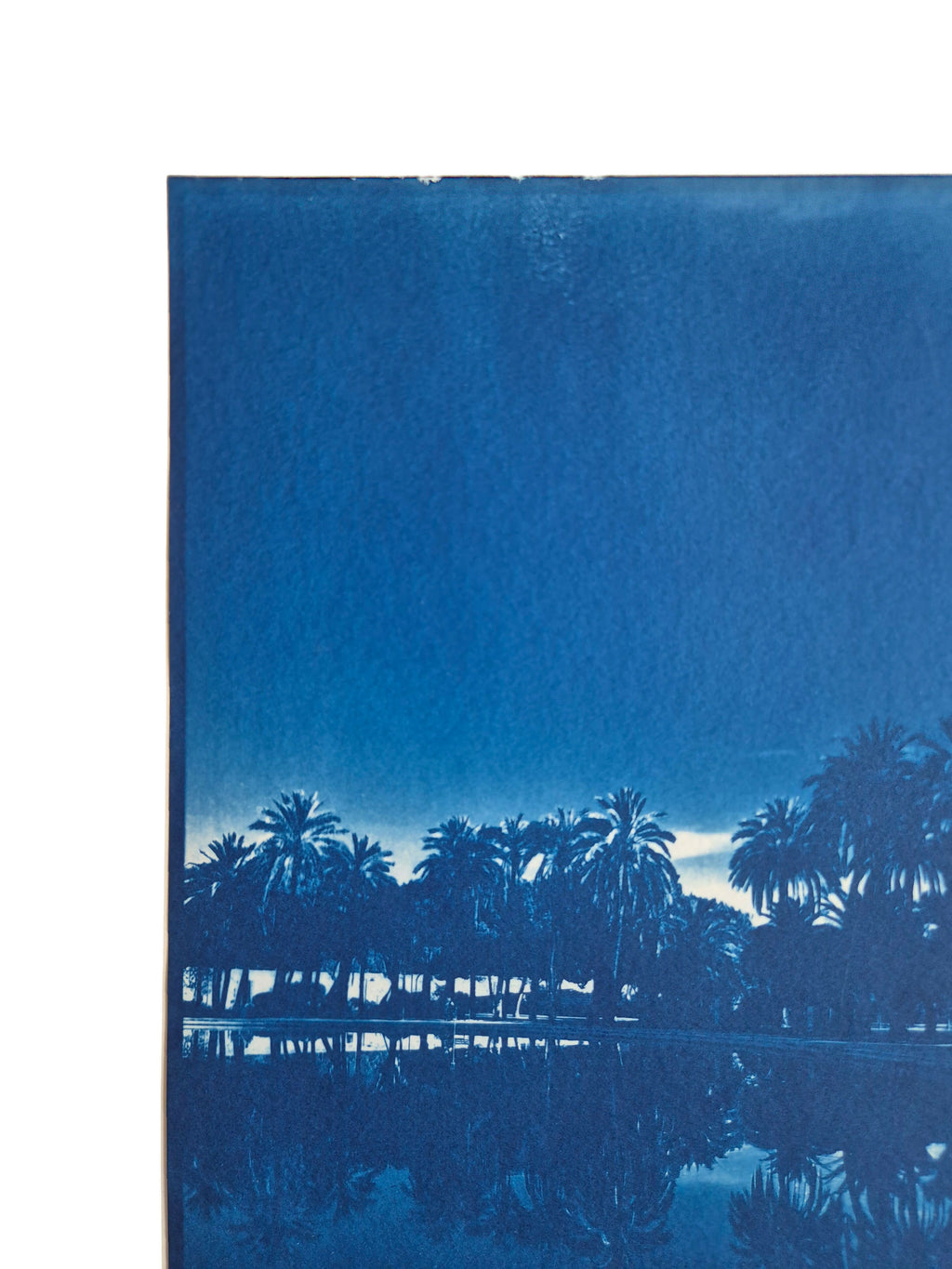 PALM SCENE - ORIGINAL CYANOTYPE
