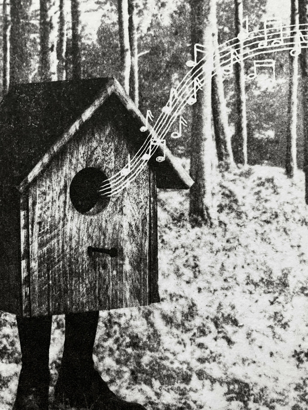 The Call of The Wild II