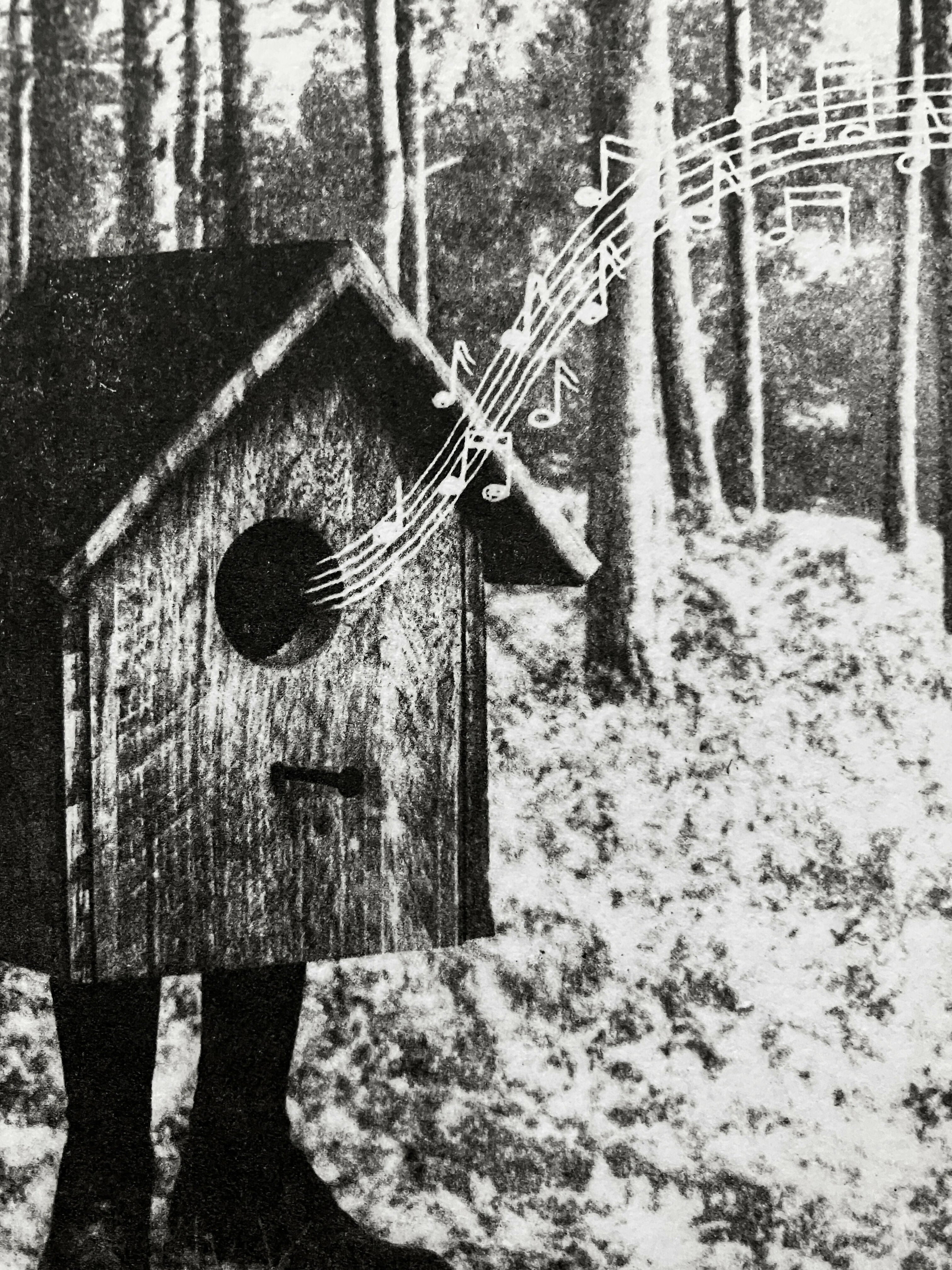 The Call of The Wild II