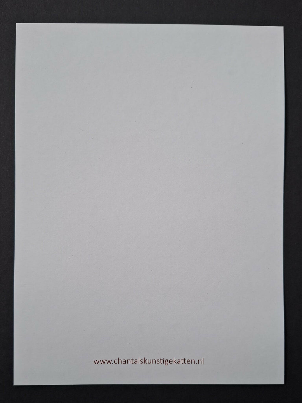 Cat print 'Zijne mauwisteit'
