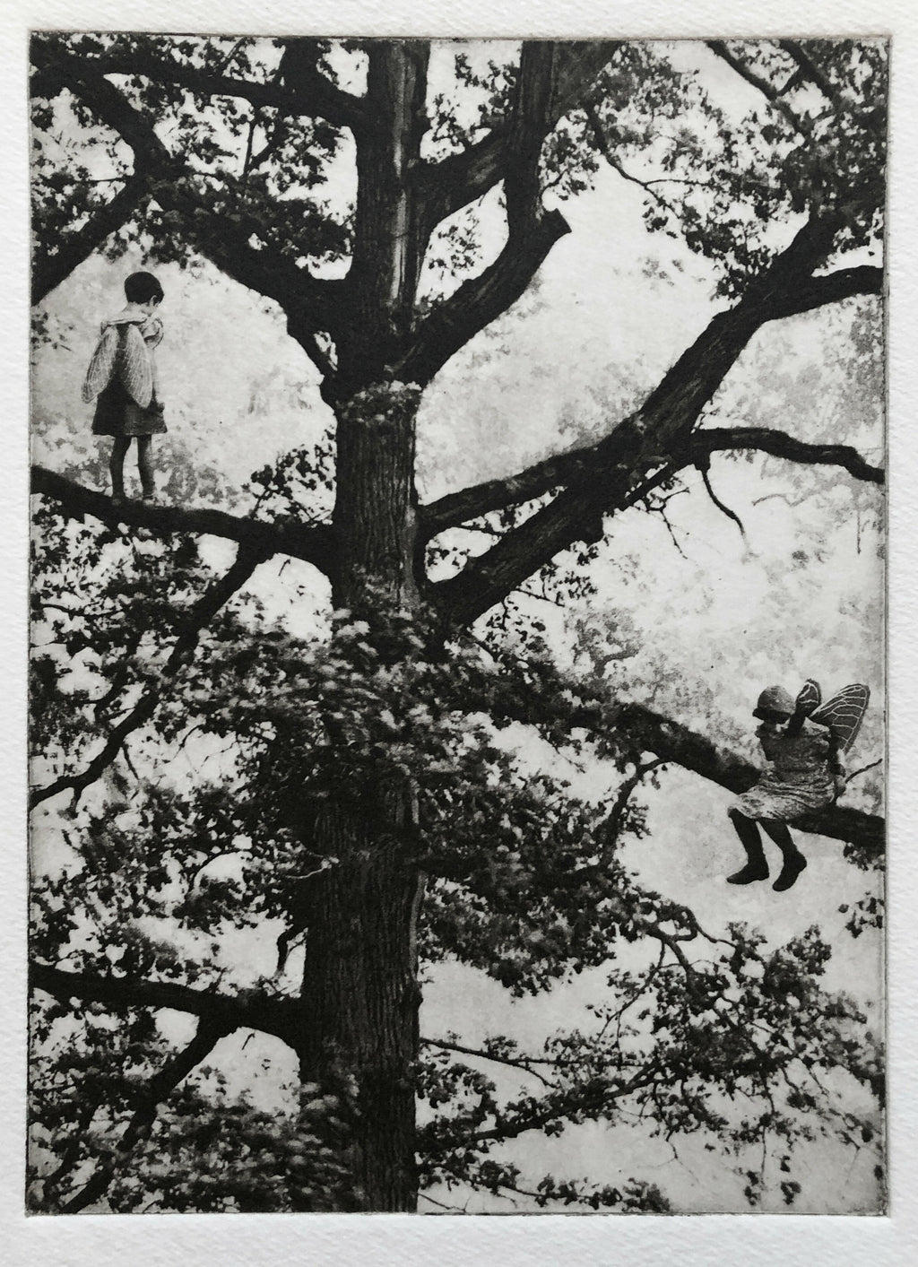 Exterior No.20: Whizzing through The Woods