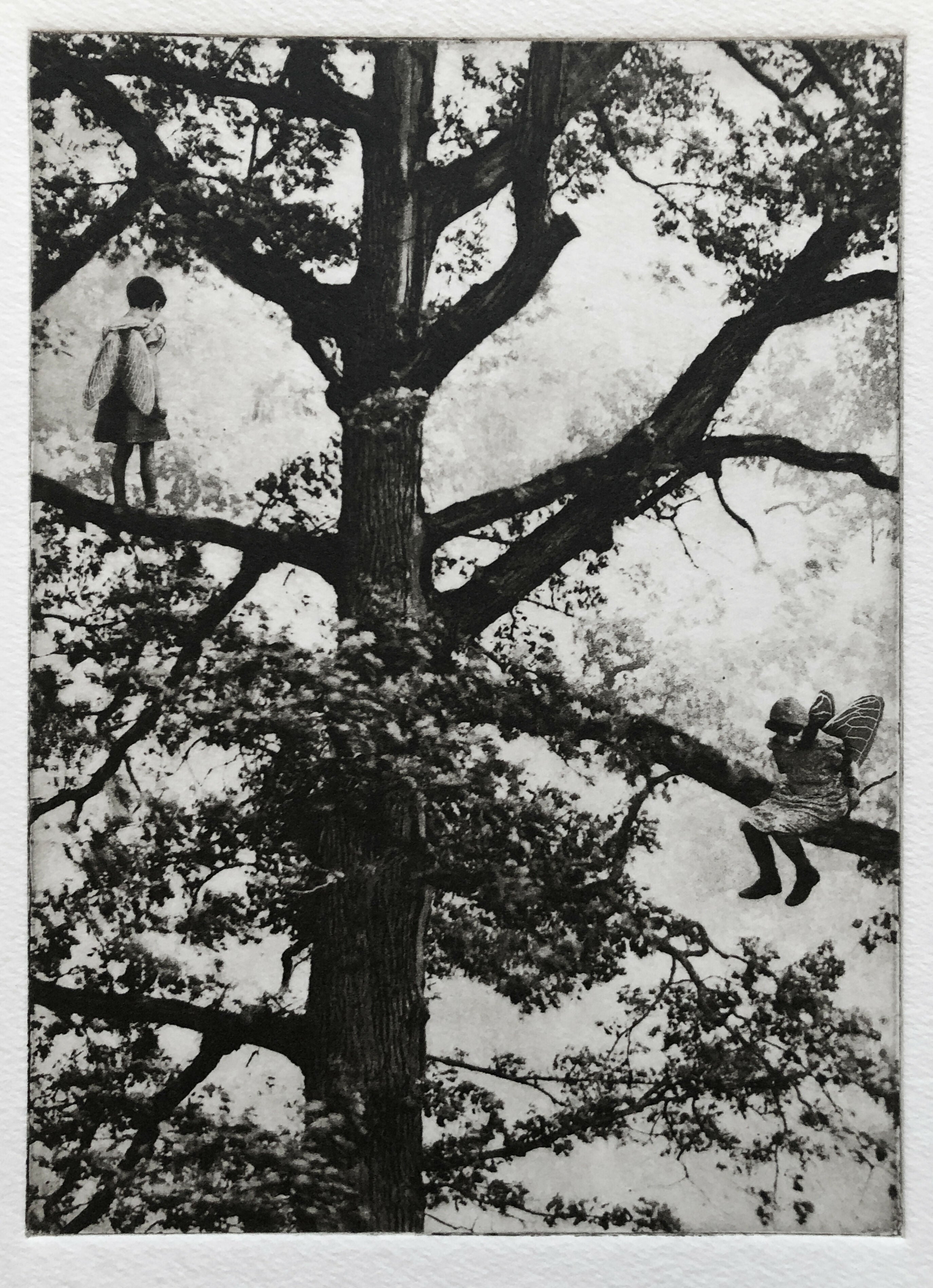 Exterior No.20: Whizzing through The Woods