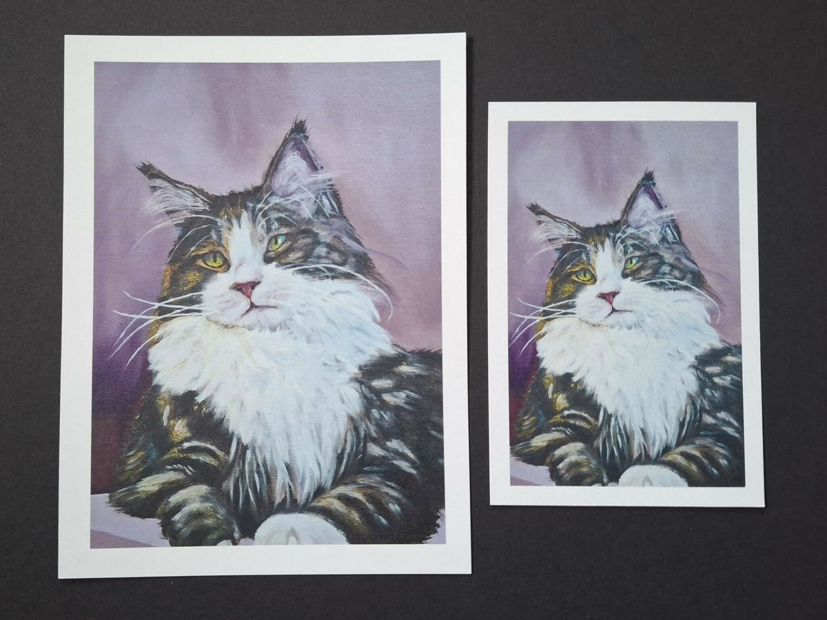 Cat print 'Pluis'