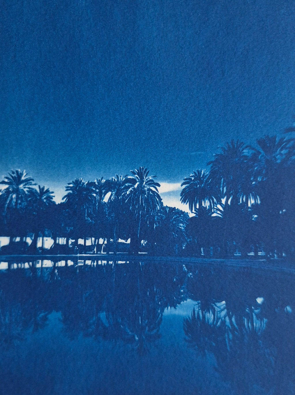 PALM SCENE - ORIGINAL CYANOTYPE