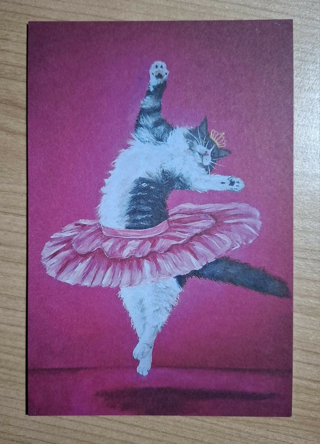 Cat print - Pas de chat