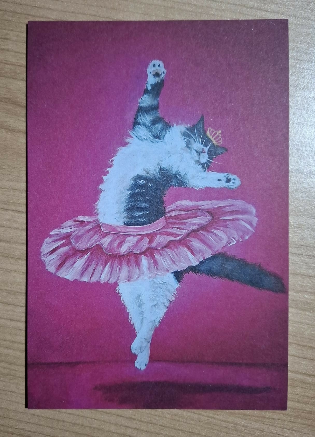 Cat print - Pas de chat