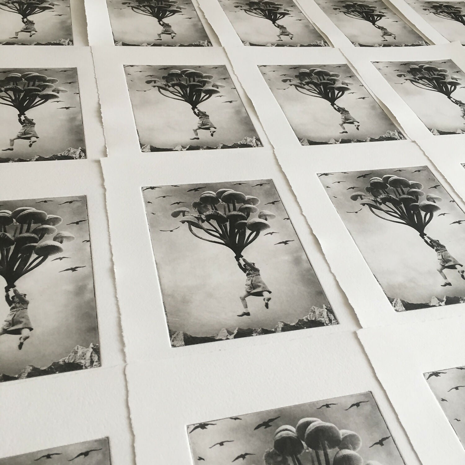 The Girl and The Mushrooms
