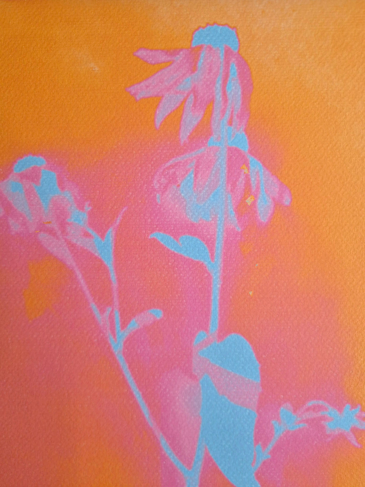 SOLAR FLORAL ORANGE